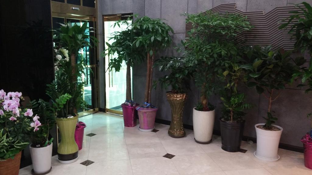 首尔库珀城酒店 首爾 外观 照片